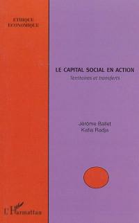 Le capital social en action : territoires et transferts
