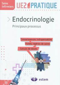 Endocrinologie : principaux processus