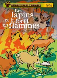 Histoires vraies d'animaux. Les lapins et la forêt en flammes