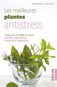 Les meilleures plantes anti-stress
