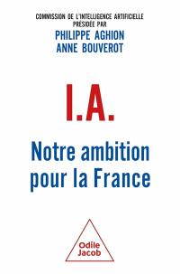 IA : notre ambition pour la France