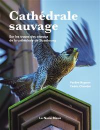 Cathédrale sauvage : sur les traces des oiseaux de la cathédrale de Strasbourg