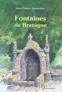Fontaines de Bretagne : histoires, légendes, magie, médecine, religion, architecture