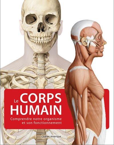 Le corps humain : comprendre notre organisme et son fonctionnement