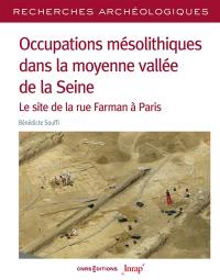 Occupations mésolithiques dans la moyenne vallée de la Seine : le site de la rue Farman à Paris