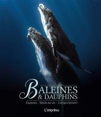 Baleines & dauphins : espèces, mode de vie, comportement