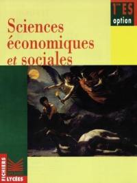 Sciences économiques et sociales, 1re ES, option