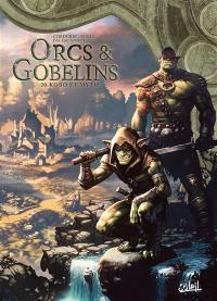 Orcs & gobelins. Vol. 20. Kobo et Myth