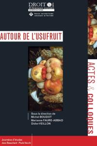 Autour de l'usufruit : Journées d'études Jean Beauchard-Paolo M. Vecchi