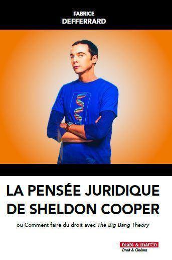 La pensée juridique de Sheldon Cooper ou Comment faire du droit avec The Big Bang Theory