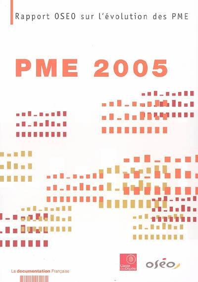 PME 2005 : rapport OSEO sur l'évolution des PME