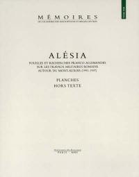 Alésia : fouilles et recherches franco-allemandes sur les travaux militaires autour du Mont-Auxois (1991-1997)