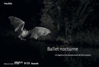 Ballet nocturne : un regard sur les chauves-souris de l'Arc jurassien