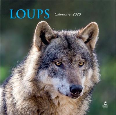 Loups : calendrier 2020