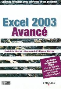 Excel 2003 avancé : guide de formation avec exercices et cas pratiques