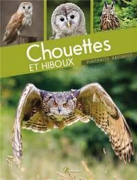 Chouettes & hiboux