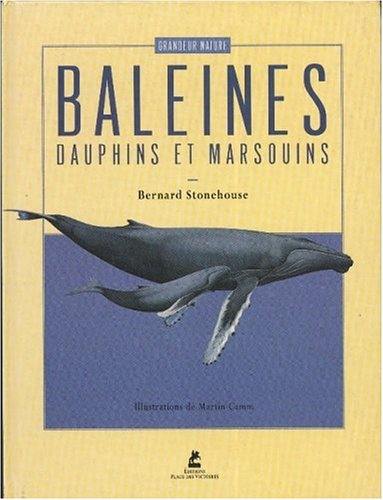Les baleines, les dauphins et les marsouins