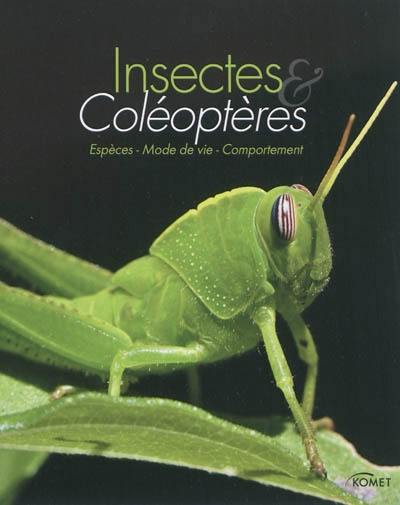 Insectes & coléoptères : espèces, mode de vie, comportement