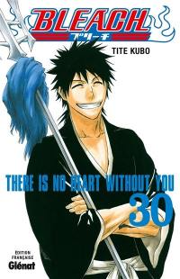 Bleach. Vol. 30. There is no heart without you