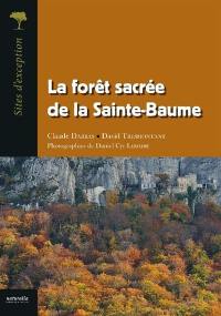 La forêt sacrée de la Sainte-Baume