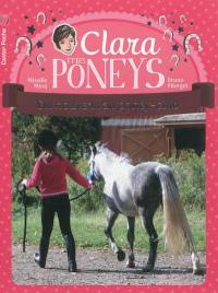 Clara et les poneys. Vol. 6. Du nouveau au poney-club
