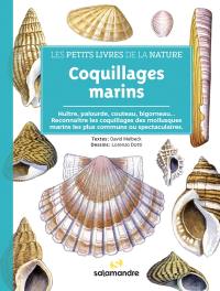Coquillages marins : huître, palourde, couteau, bigorneau... : reconnaître les coquillages des mollusques marins les plus communs ou spectaculaires