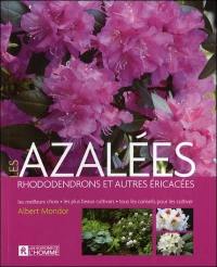 Les azalées, rhododendrons et autres éricacées