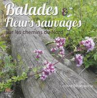 Balades & fleurs sauvages sur les chemins du Nord : des centaines de photos et d'infos utiles