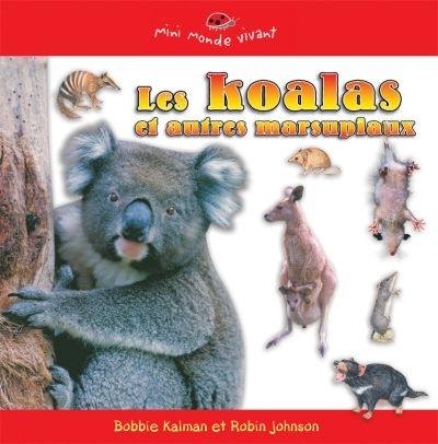 Les koalas et autres marsupiaux