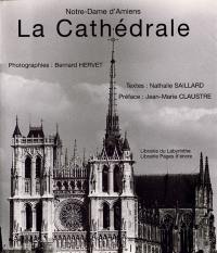 La cathédrale : Notre-Dame d'Amiens