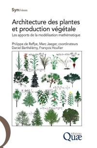 Architecture des plantes et production végétale : les apports de la modélisation mathématique