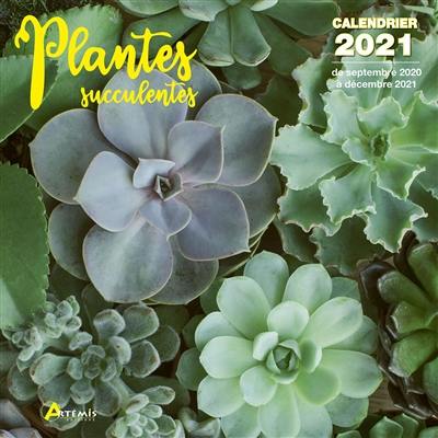 Plantes succulentes : calendrier 2021 : de septembre 2020 à décembre 2021