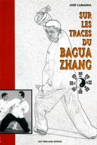 Sur les traces du bagua zhang : l'art martial des huit trigrammes