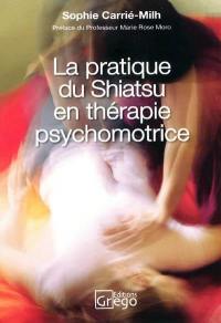 La pratique du shiatsu en thérapie psychomotrice : témoignage clinique et nouvelles perspectives