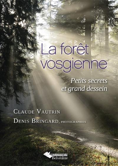 La forêt vosgienne : petits secrets et grand dessein