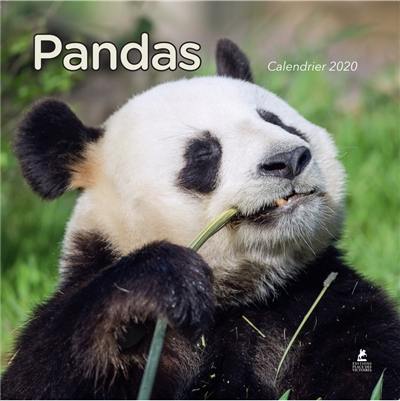 Pandas : calendrier 2020