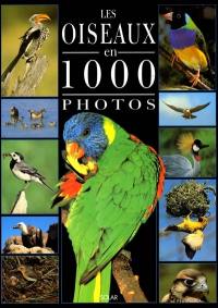 Les oiseaux en 1000 photos