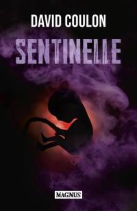Sentinelle : thriller