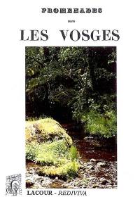 Promenades dans les Vosges : souvenirs et paysages