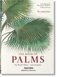 The book of palms. Das Buch der Palmen. Le livre des palmiers