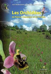 Les orchidées de Poitou-Charentes et Vendée
