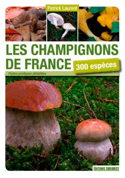 Les champignons de France : 300 espèces : découvrir, identifier, ramasser