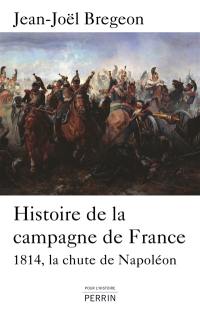 Histoire de la campagne de France : 1814, la chute de Napoléon