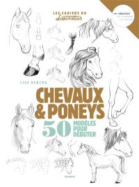 Chevaux & poneys : 50 modèles pour débuter