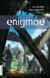 Enigmae.com. Vol. 2. Le destin des sorciers