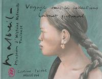 Voyage dans les collections : carnet pictural : Museum d'histoire naturelle, Toulouse