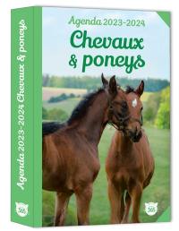 Chevaux & poneys : agenda 2023-2024