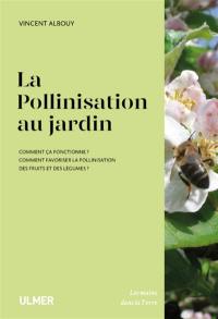 La pollinisation au jardin : comment ça fonctionne ? comment favoriser la pollinisation des fruits et des légumes ?