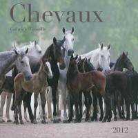 Chevaux 2012