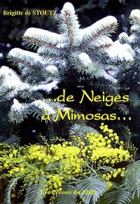 De neige à Mimosas